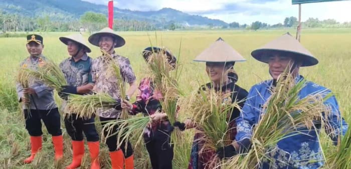 Panen Raya Padi di Bolsel, Gubernur Sulut Serahkan Traktor dan Pompa Air untuk Petani