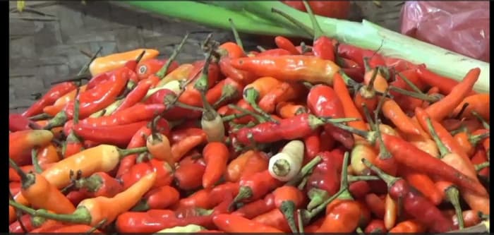 Jelang Ramadan, Harga Cabai di Pasar Tradisional Jember Tembus Rp100 ribu per Kg