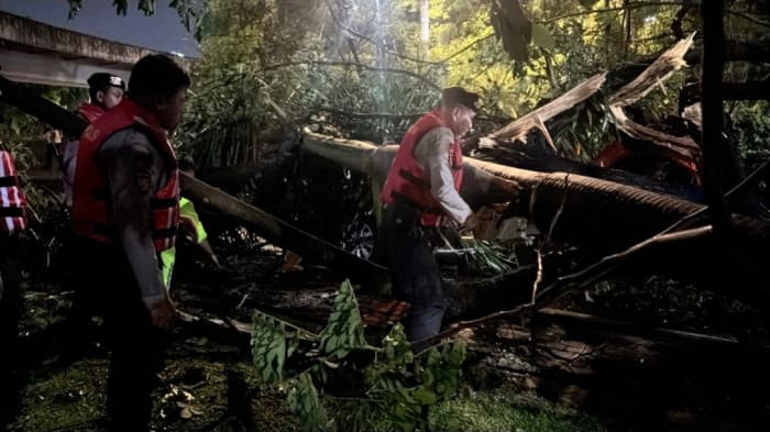 Pohon Tumbang di Kolong Semanggi Timpa Mobil, Pengemudi Selamat