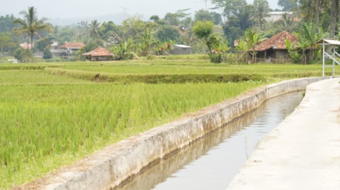Mitigasi El Nino, Mentan Amran Pacu 5 Strategi Amankan Stok Pangan