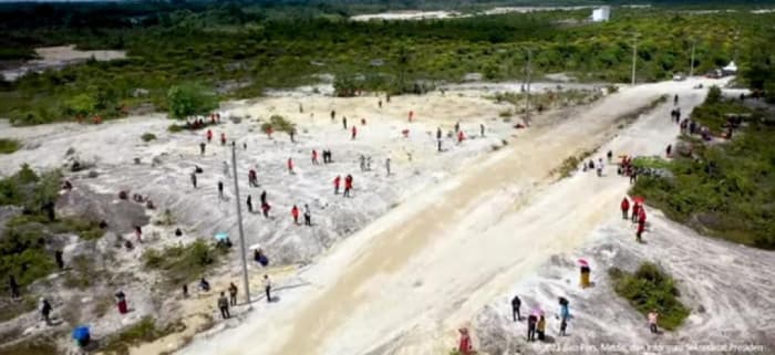 Atasi Banjir Sintang, Presiden Jokowi Instruksikan Penghijauan Kawasan Tambang 