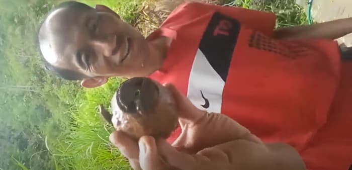 Viral, Warga Mamasa Temukan Granat Aktif